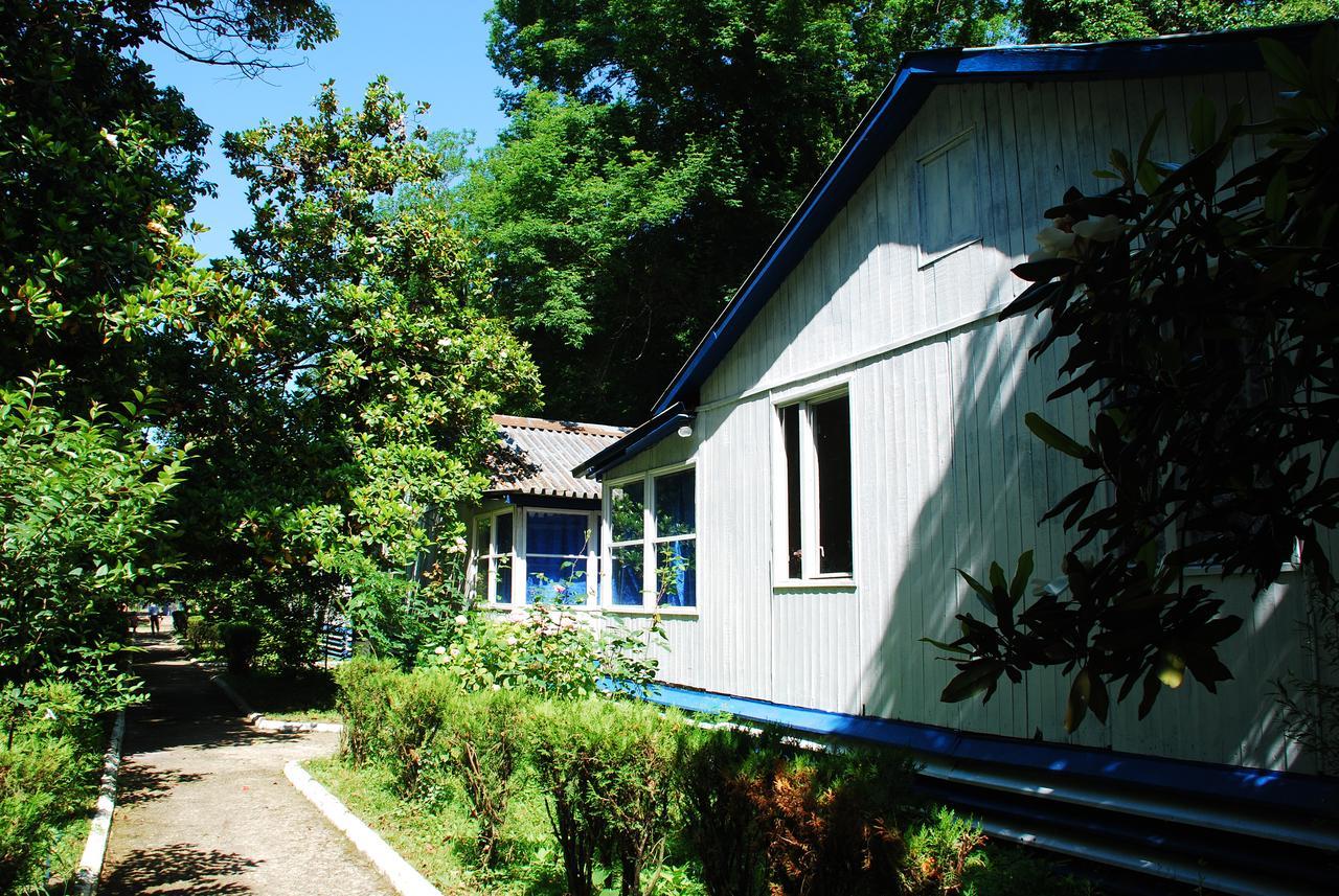 Hotel Baza Otdyha Miya Gudauta Exterior foto